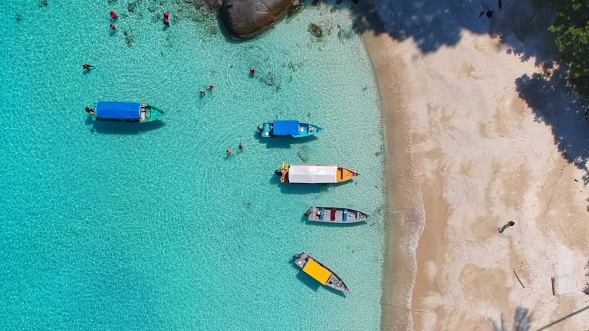 Survival Mode (Image via Unsplash/ @ Gaddafi Rusli)